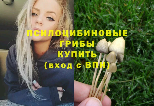 мяу мяу мука Аркадак