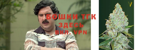 мяу мяу мука Аркадак