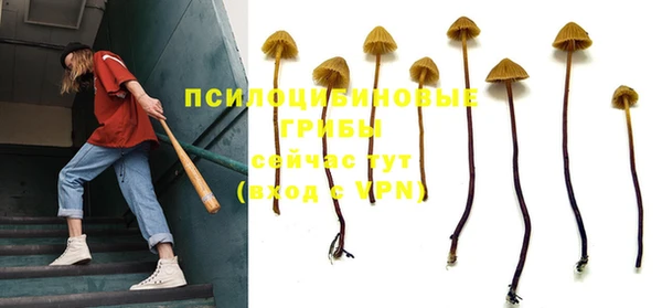 дживик Армянск