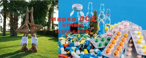мяу мяу мука Аркадак