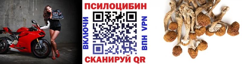 сколько стоит  Россошь  Галлюциногенные грибы прущие грибы 