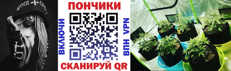 Конопля план  Россошь 